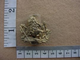 1675 British South Africa Police cap badge (CO3373)