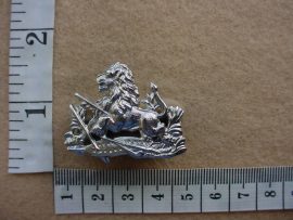 1682 BSA Police Cadets and Women's cap badge (CO3380)
