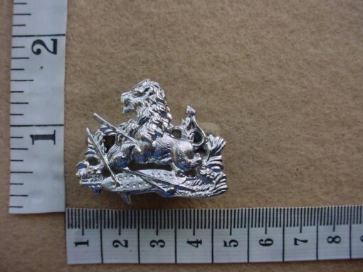 1684 BSA Police Cadets and Women's cap badge (CO3380)