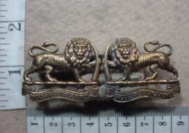6601 Rhodesia Defence Force collar badges (CO3382-CO3383)