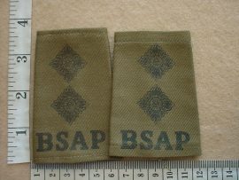10042 BSAP Inspector rank slides (CO3392)