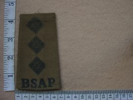 10043 BSAP Chief Inspector rank slide (CO3393)