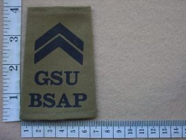 2024 BSAP General Service Unit Section Leader rank (CO3408)