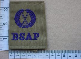 10047 BSAP Assistant Commissioner rank slides (CO3423)