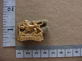 1614 Rhodesia Woman's Service cap badge (CO3469)