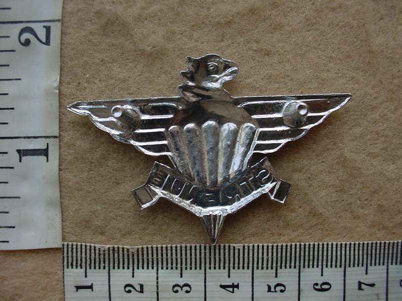 10902 South African 3 Parachute Battalion beret badge, 1st issue (CO3944) - Image 2