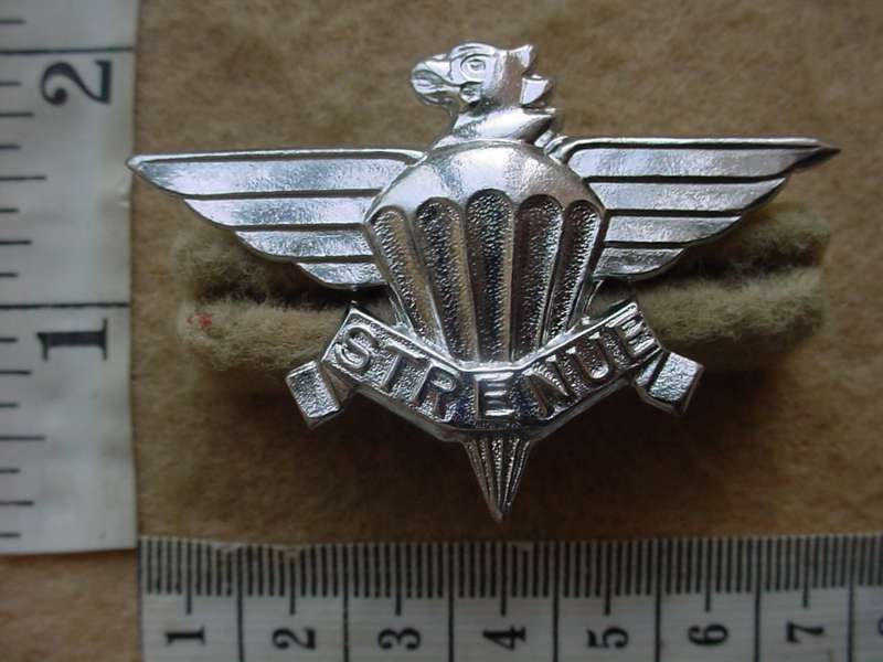10902 South African 3 Parachute Battalion beret badge, 1st issue (CO3944)