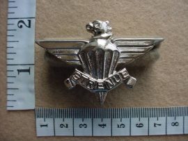 1750 3 Parachute Battalion beret badge, 2nd issue, 2005 cast badge (CO3944)