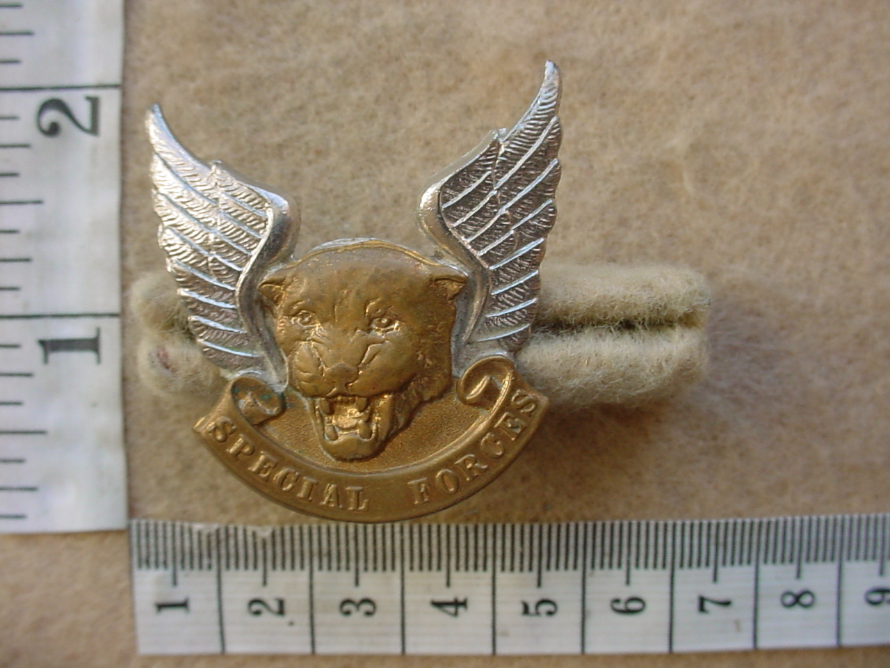 6189 Transkei Special Forces cap badge (CO3965)