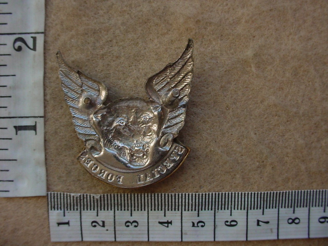 6189 Transkei Special Forces cap badge (CO3965) - Image 2