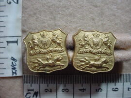 2888 Royal Durban Light Infantry collar badges (CO419 and CO420)