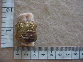 197 Royal Durban Light Infantry collar badge (CO420)