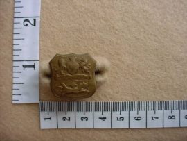 196 Royal Durban Light Infantry collar badge (CO420)