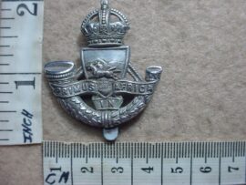 194 Royal Durban Light Infantry cap badge (CO422)