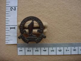 207 Natal Mounted Rifles collar badge (CO470)