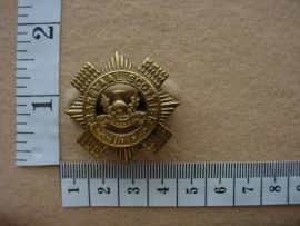 239 Transvaal Scottish collar badge (CO616)