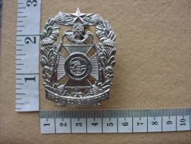 254 Witwatersrand Rifles cap badge (CO663)