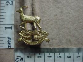 257 Pretoria Regiment collar badge (CO677)