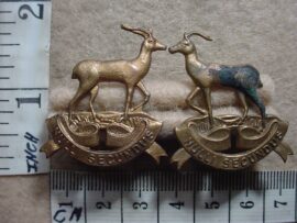 263 Pretoria Regiment collar badges (CO681-CO682)
