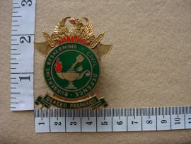 265 SA Civil Defence cap badge (CO695)