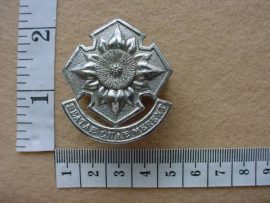 268 South African Army Women's College cap badge (CO698)