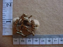299 Regiment Hoeveld collar badge (Ref. CO751)