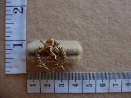 300 Regiment Hoeveld mess dress collar badge (CO754)