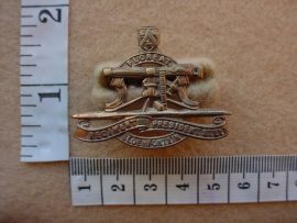 308 Regiment President Steyn collar badge (CO757)