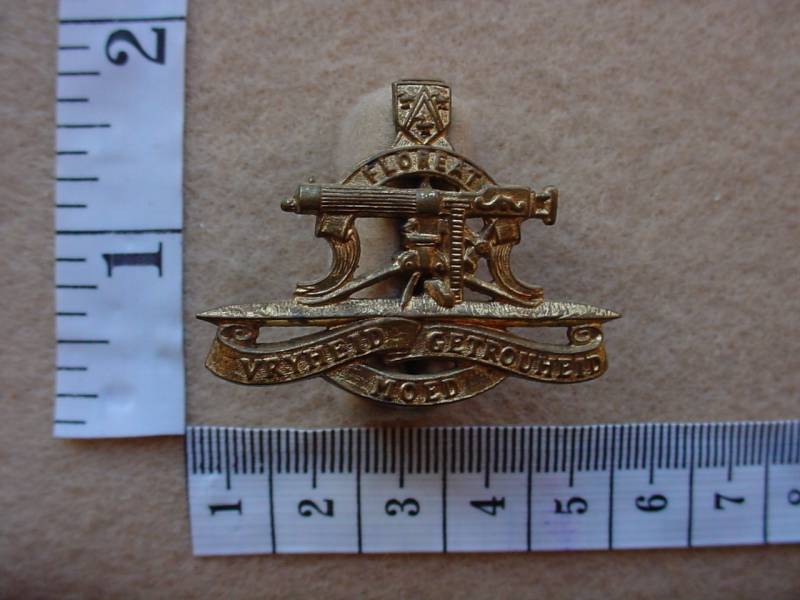 312 Regiment President Steyn beret badge (Ref. CO760)