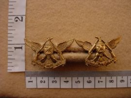 320 Regiment De Wet collar badges (CO766-CO767)
