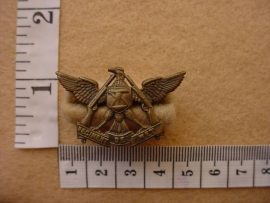 322 Regiment De Wet collar badge (CO767)