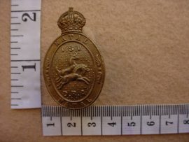 350 Natal Defence Rifle Association collar badge (Ref. CO796)