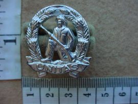 8450 Commando Infantry beret and collar badge (CO812)