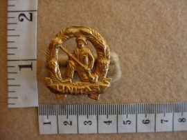 370 Commando Infantry collar badge (CO812)