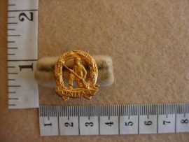 371 Commando Infantry collar badge, mess dress (CO814)