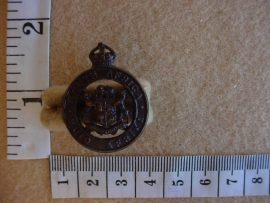 430 SA Instructional Corps collar badge (CO884)