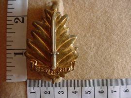 436 Regiment University of Stellenbosch cap badge (CO907)