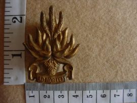 443 Regiment North East Cape cap badge (CO917)
