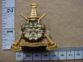 468 Regiment East Rand cap badge (CO956)