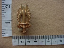 479 Regiment Northern Transvaal collar badge (CO972)