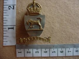 494 South African Military College cap badge (CO984)