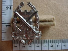 500 Special Service Corps cap badge (Ref. CO987)