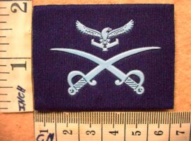 1787 South African Air Force Advanced Physical Training Instructor trade badge (DW1 56 21)