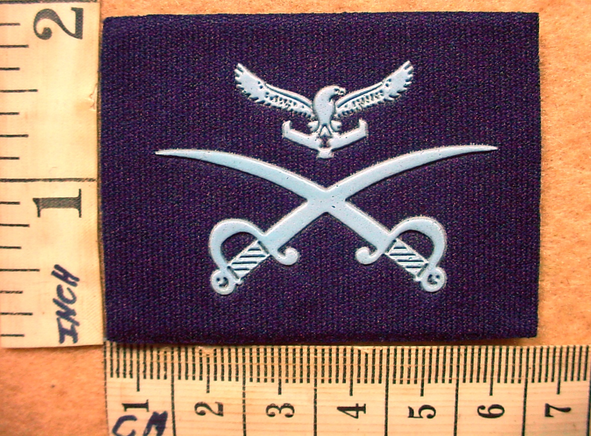 1787 South African Air Force Advanced Physical Training Instructor trade badge (DW1 56 21)