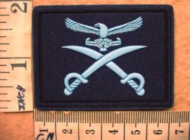 8435 South African Air Force Advanced Physical Training Instructor trade badge (DW1 56 21)