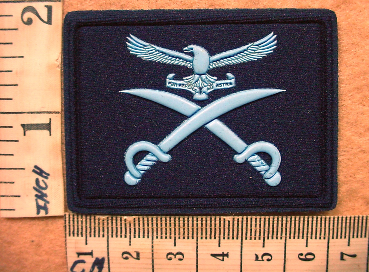 8435 South African Air Force Advanced Physical Training Instructor trade badge (DW1 56 21)