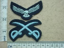 9603 South African Air Force Advanced Physical Training Instructor trade badge (DW1 56 22)