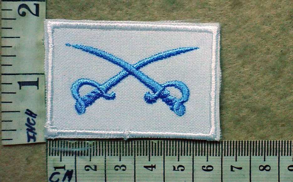 10229 South African Air Force Physical Training Instructor tracksuit badge (DW1 56 26)