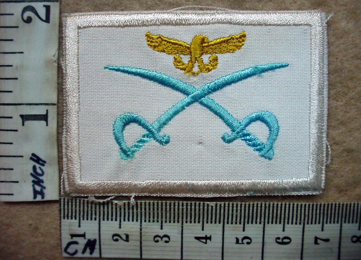 8427 South African Air Force Advanced Physical Training Instructor trade badge (DW1 56 27)