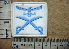 1810 South African Air Force Advanced Physical Training Instructor trade badge (DW1 56 27)